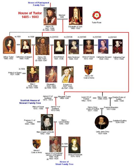 the tudor line|tudor family tree ancestry.